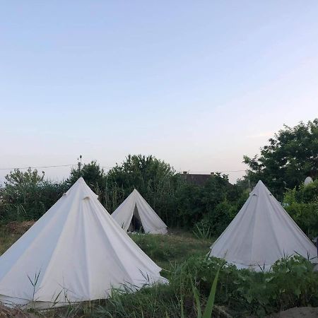 Danube Delta Hostel Homestay & Camping Сулина Екстериор снимка