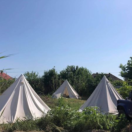 Danube Delta Hostel Homestay & Camping Сулина Екстериор снимка