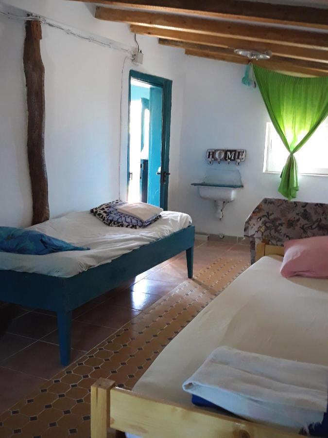 Danube Delta Hostel Homestay & Camping Сулина Екстериор снимка