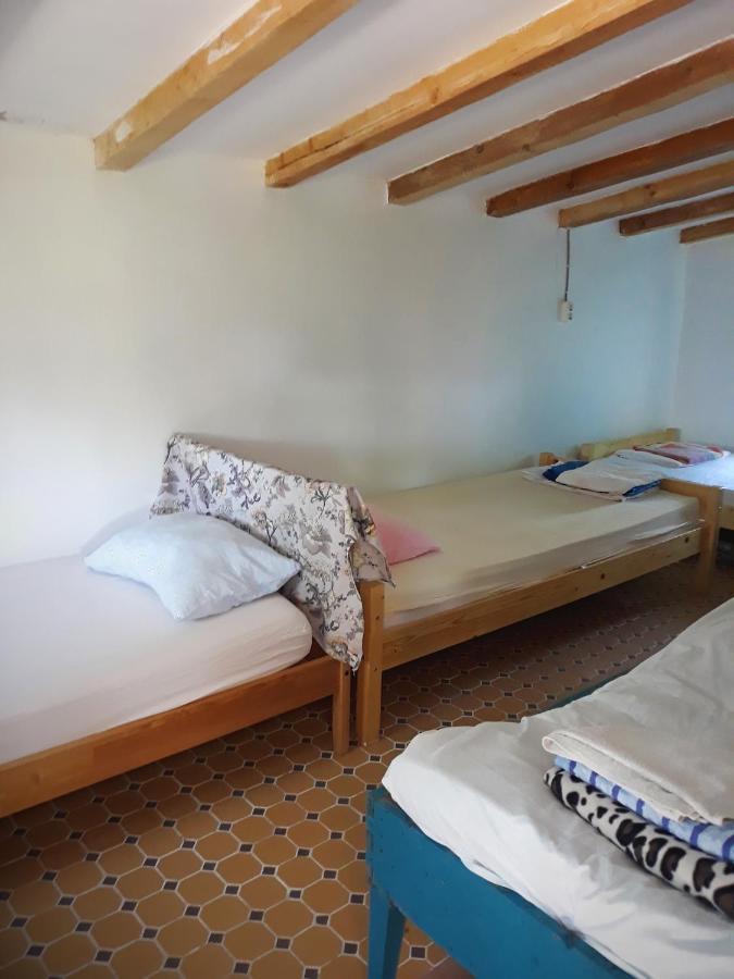Danube Delta Hostel Homestay & Camping Сулина Екстериор снимка